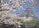 Japan PPC Himeji Castle, Castle Of The White Heron, Cherry Blossom YODOGAWA 1996 KASTRUP Denmark (2 Scans) - Andere & Zonder Classificatie