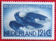 Airmail Stamp 12 1/2 Ct WM Vertical NVPH LP11 11 (Mi 321 ) 1938 POSTFRIS / MNH / **  NEDERLAND / NIEDERLANDE - Posta Aerea