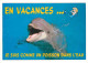 Animaux - Dauphin - Dolphin - Carte à Message - CPM - Voir Scans Recto-Verso - Delfines