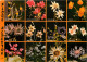 Fleurs - CPM - Voir Scans Recto-Verso - Flowers