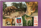 69 LYON Parc De La Tête D'Or Parc Zoologique Multivues  Eléphant  Lion Tigre  Daim  Blason - Lyon 6