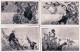 Llustrateur -la Digitale - Le Cactus - La Passiflore -le Chrysantheme- 4 Cartes Postales Du "Journal Des Voyages" - Sonstige & Ohne Zuordnung