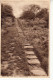 CP31. Vintage Postcard.  Roman Steps. Happy Valley. Tunbridge Wells. Kent - Tunbridge Wells