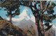 95667 - Zermatt - Schweiz - Blick Aus Dem Arvenwald - Autres & Non Classés