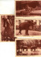 LOT DE 7 CARTES - Exposition Coloniale Internationale - PARIS 1931 - PARC ZOOLOGIQUE  - - Ausstellungen