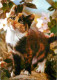 Animaux - Chats - Chatons - Portrait - Flamme Postale De Bourg D'Oisans - Voir Timbre - CPM - Voir Scans Recto-Verso - Cats