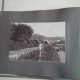 ALBUM PHOTO DE FAMILLE LES VAUX DE CERNAY PALAISEAU VILLEBON VILLAGE SCENE DE VIE ENVIRON 43 PHOTOS - Albums & Collections