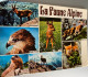 74 Annecy 1981 Faune Alpine 7 Vues Faon Chamois Marmotte Aigle Royal Bouquetin Mouflon Renardeau -ed Settimo - Annecy