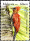 Malaysia 2013 MiNr. 2024 - 2027 (Block 166) BIRDS Woodpeckers 3V + S/sh MNH** 7,40 € - Climbing Birds