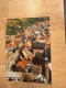 Carte Postale Postkaart Postcard Stolberg Blick Auf Die Stadt Farbfoto Stefen Sangerhausen - Stolberg (Harz)