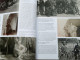 Delcampe - BOB DENARD GRAND MERCENAIRE DU XXe SIECLE Histoire Et Collections - Frans