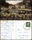 Bad Rippoldsau-Bad Rippoldsau-Schapbach Luftgardstift Colorfoto AK 1959 - Bad Rippoldsau - Schapbach