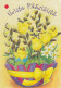 Postal Stationery - Chicks In Egg - Willows - Red Cross 2002 - Suomi Finland - Postage Paid - Pitkäranta - Postwaardestukken