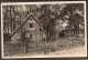 Ommen 1956 - Ada's Hoeve - Ghewell - Ommen