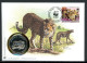 Obervolta 1993 Numisbrief Medaille Gepard 30 Jahre WWF, CuNi PP (MD845 - Ohne Zuordnung