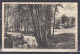 Postkaart Van Liege 3 Naar Berchem Met Langstempel Hamoir - Linear Postmarks