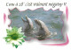 Animaux - Dauphin - Dolphin - Carte à Message - CPM - Carte Neuve - Voir Scans Recto-Verso - Delfines