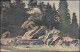 Schweiz Postwertzeichen-Ausstellung Bern 1910 Sonderganzsache SSt BERN 3.9.10 - Philatelic Exhibitions