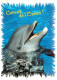 Animaux - Dauphin - Dolphin - Carte à Message - CPM - Carte Neuve - Voir Scans Recto-Verso - Dolfijnen