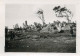 Sydney Marrackville Playing Fields - Ozeanien