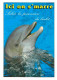 Animaux - Dauphin - Dolphin - Carte à Message - CPM - Carte Neuve - Voir Scans Recto-Verso - Dolfijnen