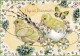 Postal Stationery - Easter Willows - Chicks Travelling With Egg - Red Cross 2013 - Suomi Finland - Postage Paid - Postal Stationery
