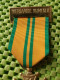 Medaile : : K.N.B.L.O. Avondvierdaagse Nijmegen .  -  Original Foto  !!  Medallion  Dutch - Otros & Sin Clasificación