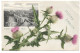 Postcard UK Scotland Glasgow Thistles "Scotia's Emblem" Inset Image Of Glasgow Bridge Posted 1907 Hartmanns - Lanarkshire / Glasgow