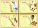 ASTROLOGIE CHINOISE - 12 CARTES 10x15cm - TB - Astrologie