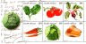 South Africa - 2011 Green Earth - Healthy Garden Sheet (**) # SG 1903 - Legumbres