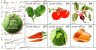 South Africa - 2011 Green Earth - Healthy Garden Sheet (**) # SG 1903 - Gemüse