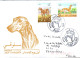 Delcampe - ALLEMAGNE RDA DDR LOT DE 81 FDC  TOUS DIFFERENTS - Lots & Kiloware (mixtures) - Max. 999 Stamps