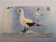 INDONESIA MAGNETIC/TAMURA  60  UNITS /  BIRD /MASKED BOOBY          MAGNETIC   CARD    **16443** - Indonésie