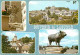 12 - Laguiole - Multivues - Flamme Postale - CPM - Voir Scans Recto-Verso - Laguiole