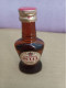 Delcampe - ALCOHOL BOTTLES 51 COLLECTABLE PIECES MANY BRANDS 14 SCANNERS - Alcoholes