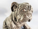 + STATUE CHIEN EN BRONZE @ Animal - Bronces