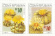 ** 484-7 Czech Republic FLOWER GROWING: CACTUSSES 2006 - Sukkulenten