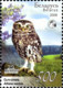 Belarus 2008 MiNr. 750 - 753 Weißrußland Owls II BIRDS BirdLife 4v MNH** 3,00 € - Hiboux & Chouettes