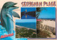 Animaux - Dauphin - Dolphin - Serignan Plage - Multivues - CPM - Voir Scans Recto-Verso - Dolphins