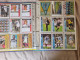 Delcampe - ALBUMS  FOOT  LIGA  ESPAGNOLE  2007  COMPLET  1ère Et  2ème Division // COMME  NEUF  // 1er  CHOIX  // 1491 Cartes - Trading-Karten