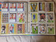 Delcampe - ALBUMS  FOOT  LIGA  ESPAGNOLE  2007  COMPLET  1ère Et  2ème Division // COMME  NEUF  // 1er  CHOIX  // 1491 Cartes - Trading Cards