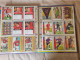 Delcampe - ALBUMS  FOOT  LIGA  ESPAGNOLE  2007  COMPLET  1ère Et  2ème Division // COMME  NEUF  // 1er  CHOIX  // 1491 Cartes - Trading Cards