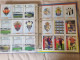 Delcampe - ALBUMS  FOOT  LIGA  ESPAGNOLE  2007  COMPLET  1ère Et  2ème Division // COMME  NEUF  // 1er  CHOIX  // 1491 Cartes - Trading-Karten