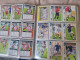 Delcampe - ALBUMS  FOOT  LIGA  ESPAGNOLE  2007  COMPLET  1ère Et  2ème Division // COMME  NEUF  // 1er  CHOIX  // 1491 Cartes - Trading-Karten