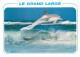 Animaux - Dauphin - Dolphin - Carte à Message - CPM - Carte Neuve - Voir Scans Recto-Verso - Delfines