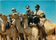 Niger - Touaregs - Chameaux - Scènes Et Types - CPM - Voir Scans Recto-Verso - Niger