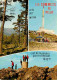 42 - Le Mont Pilat - Multivues - CPM - Voir Scans Recto-Verso - Mont Pilat