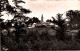 91 - SAINT MICHEL SUR ORGE / UNE VUE PANORAMIQUE - Saint Michel Sur Orge