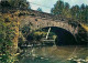 49 - Thouarcé - Pont Sur Le Layon - Vieilles Pierres - CPM - Voir Scans Recto-Verso - Thouarce