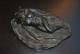 Sculpture Auguste MULLIEZ Représentant Icare Mort Terre Cuite Pièce Unique Façonné Main Cabinet De Curiosités Mythologie - Autres & Non Classés